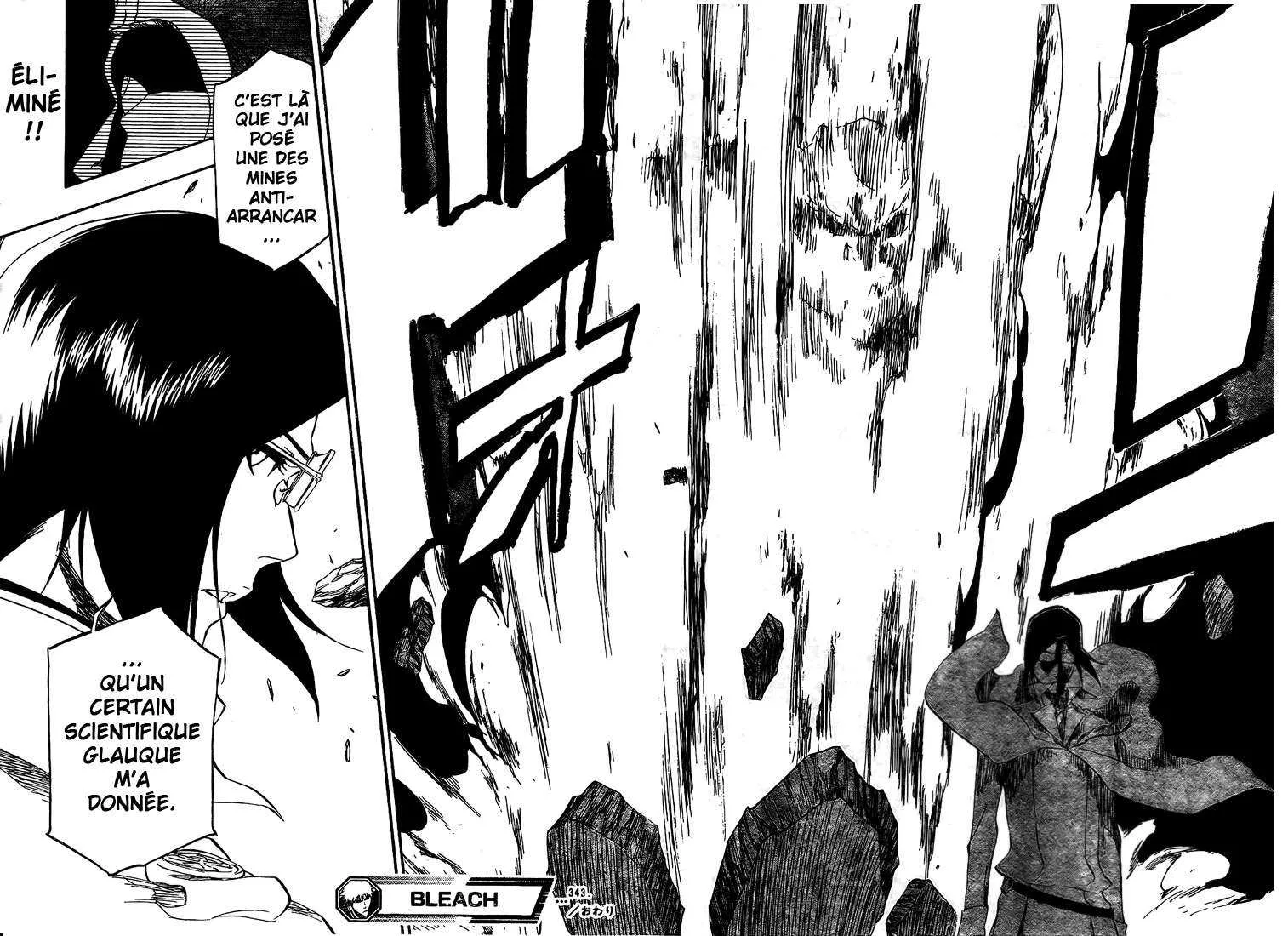 Bleach - 40 - 65514f66c78f6.webp