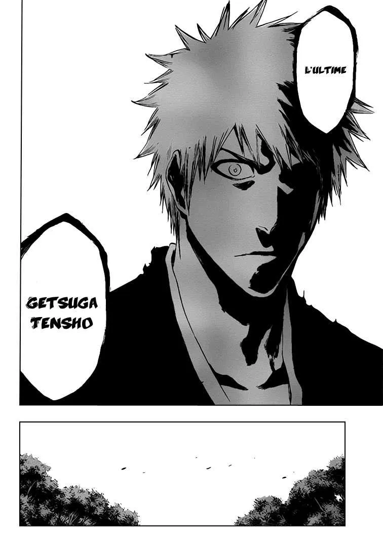 Bleach - 407 - 65514f8bec86e.webp
