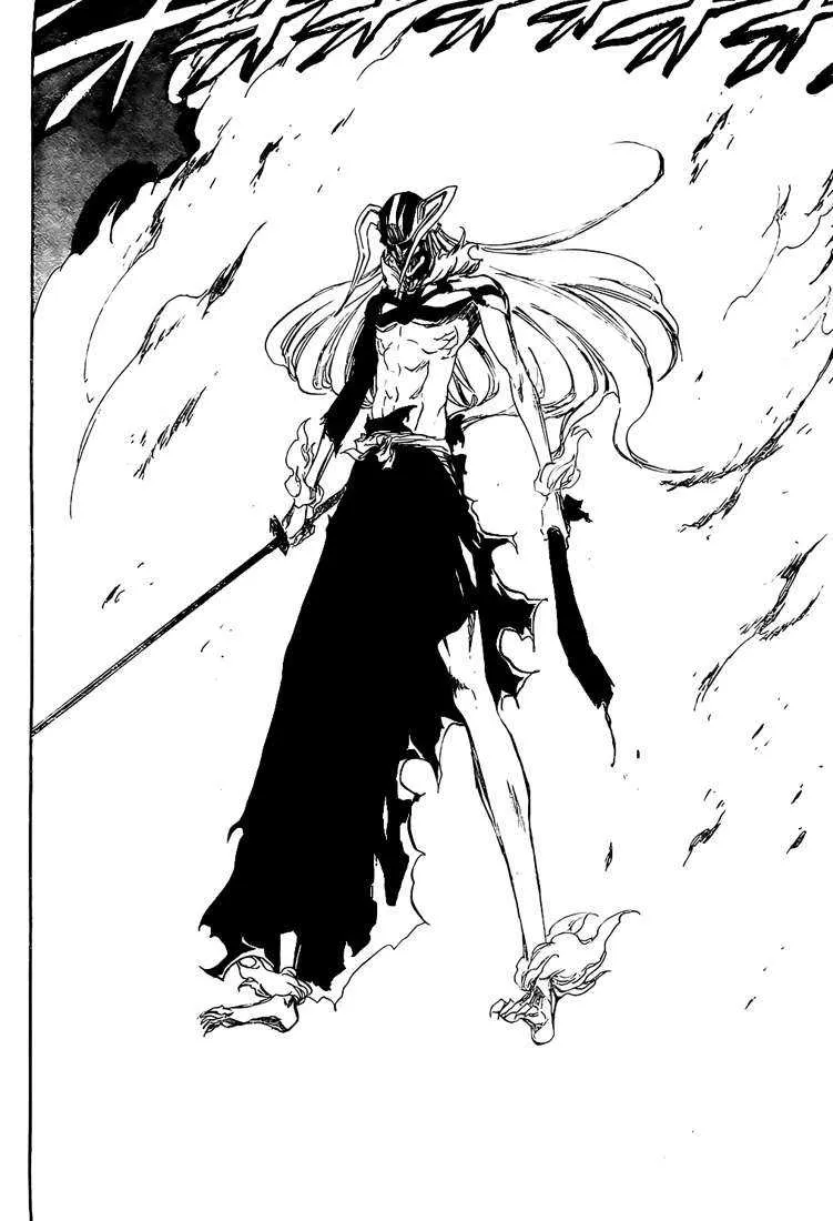 Bleach - 41 - 65514f95f33c5.webp