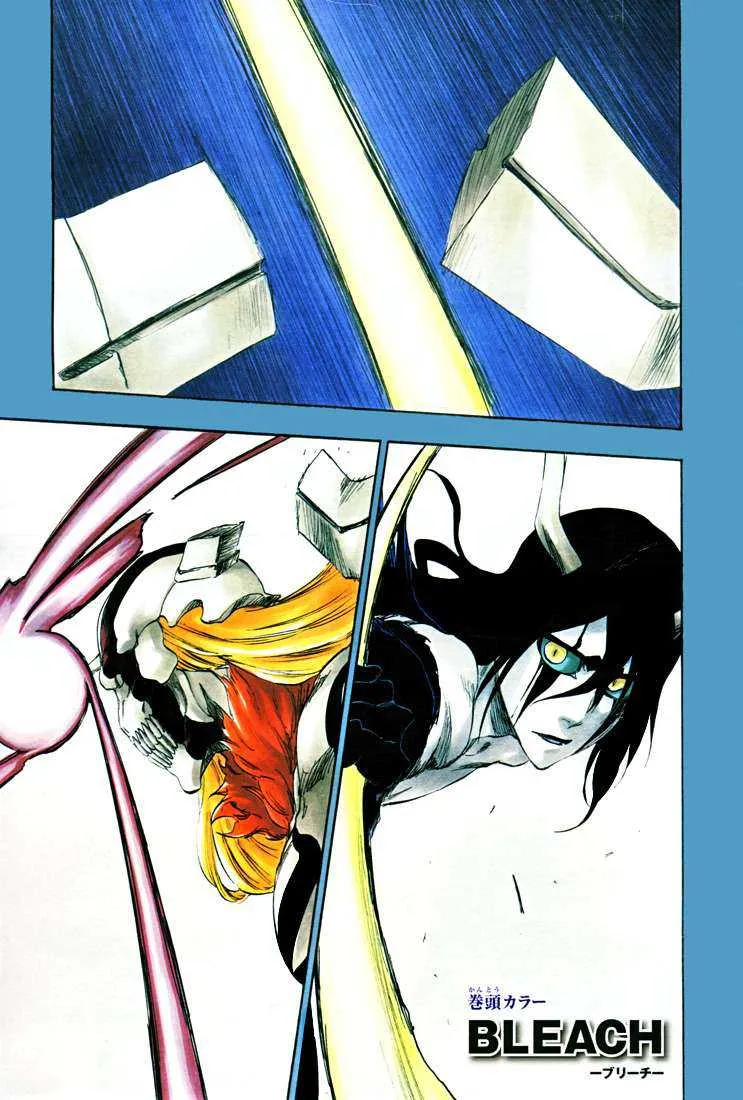Bleach - 41 - 65514f9d0f5ce.webp