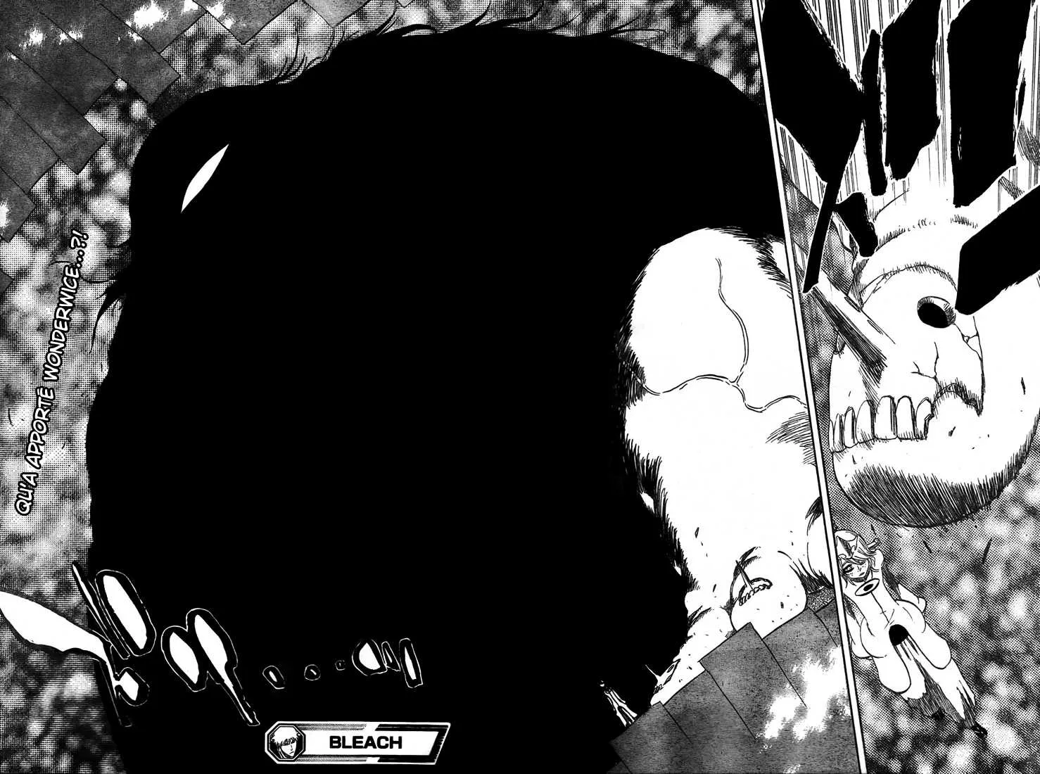 Bleach - 42 - 65514fe07847b.webp