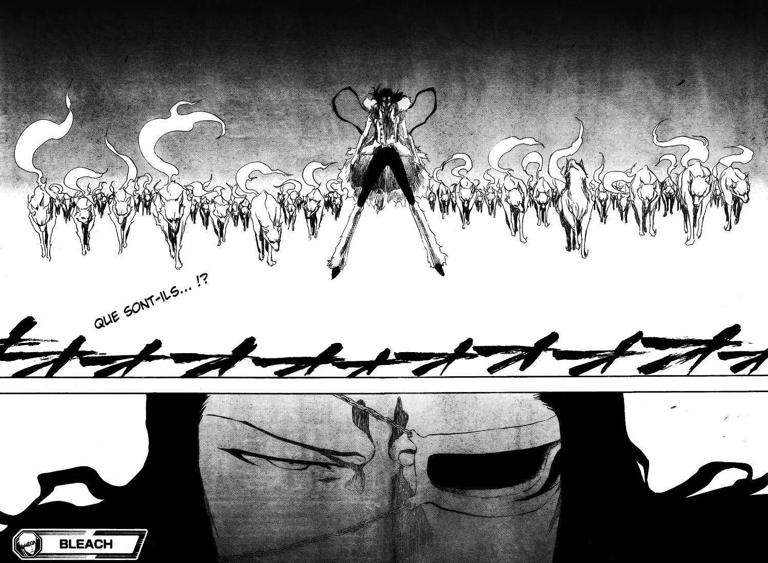 Bleach - 43 - 6551501d19ab0.webp
