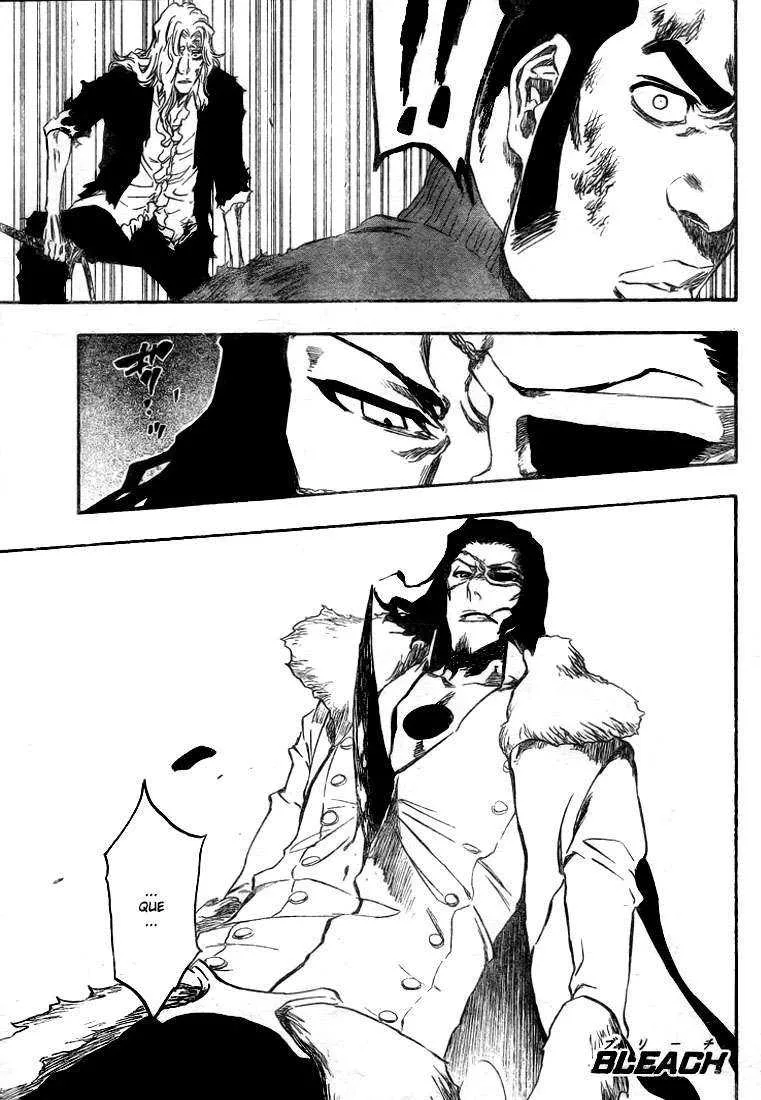Bleach - 43 - 6551502073d4f.webp