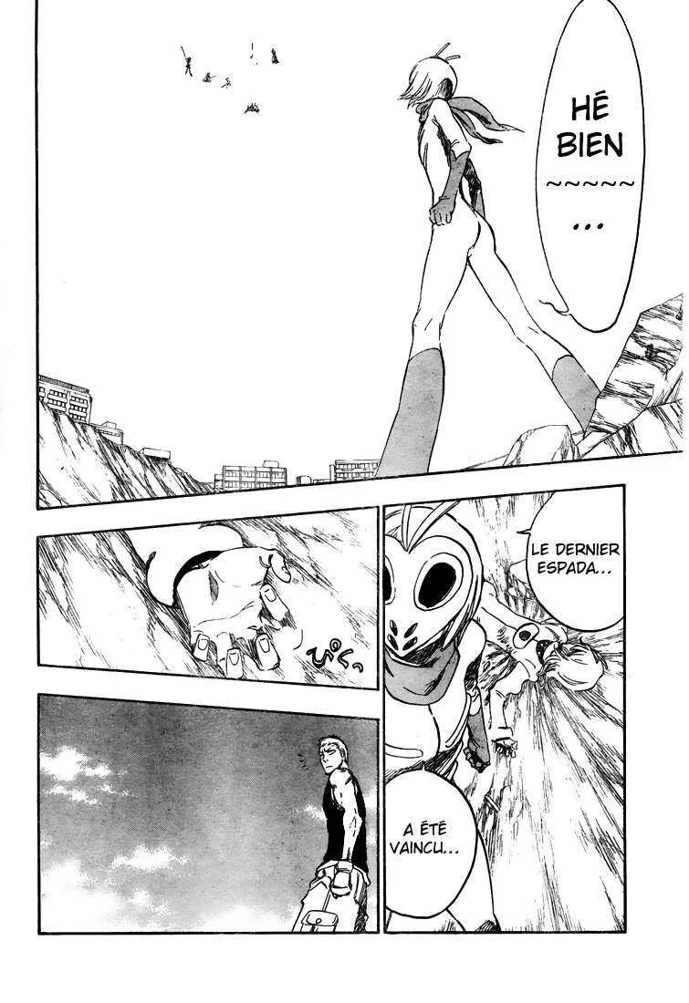 Bleach - 43 - 655150282efeb.webp