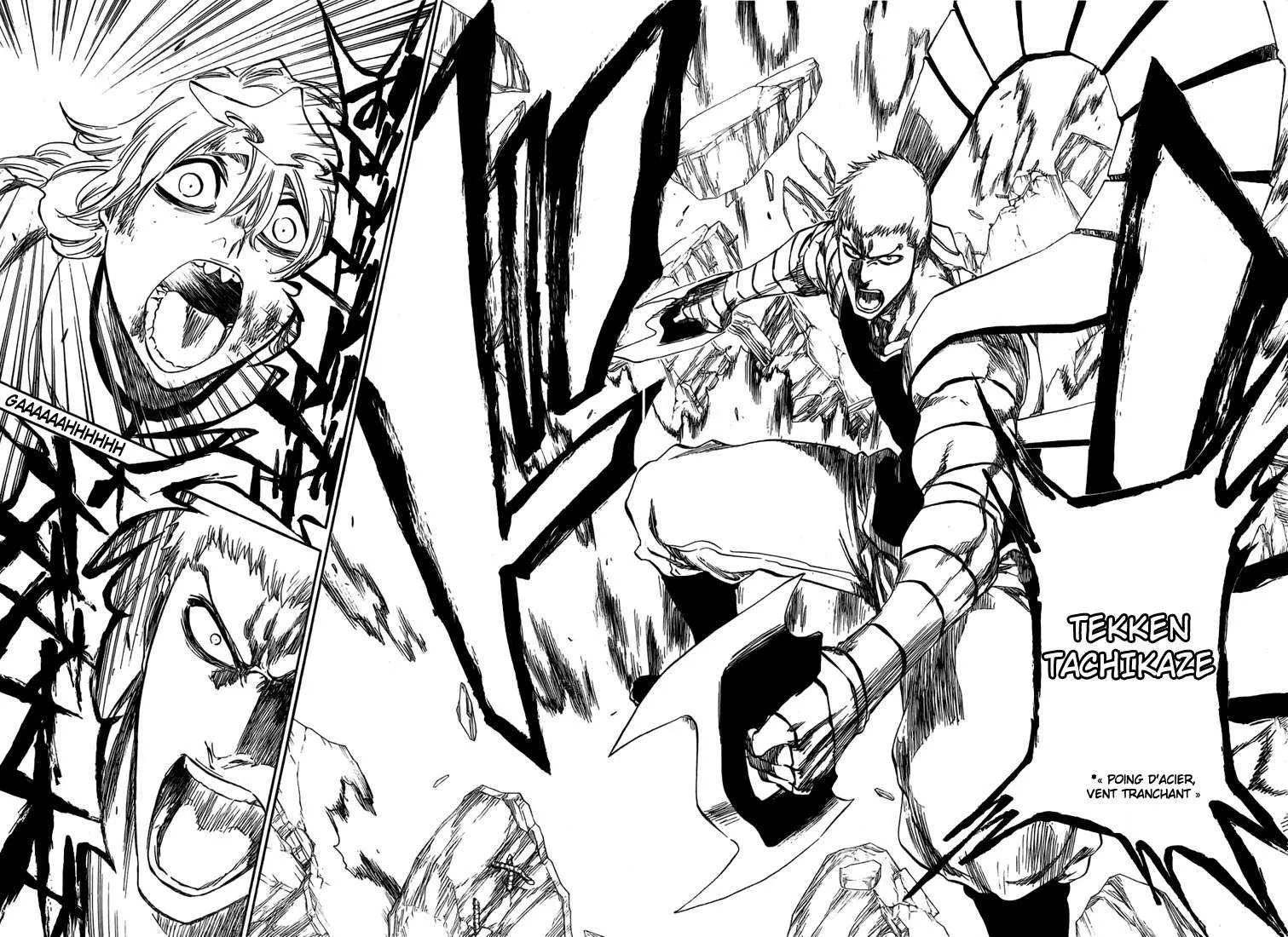Bleach - 43 - 6551502adcde5.webp