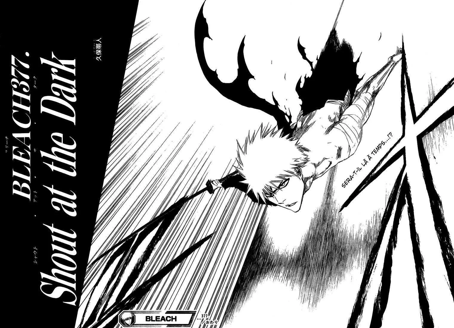 Bleach - 43 - 6551502d02410.webp