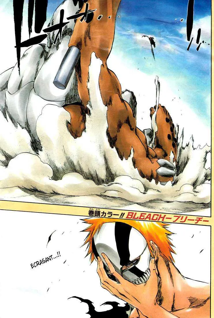 Bleach - 44 - 6551504e276a8.webp