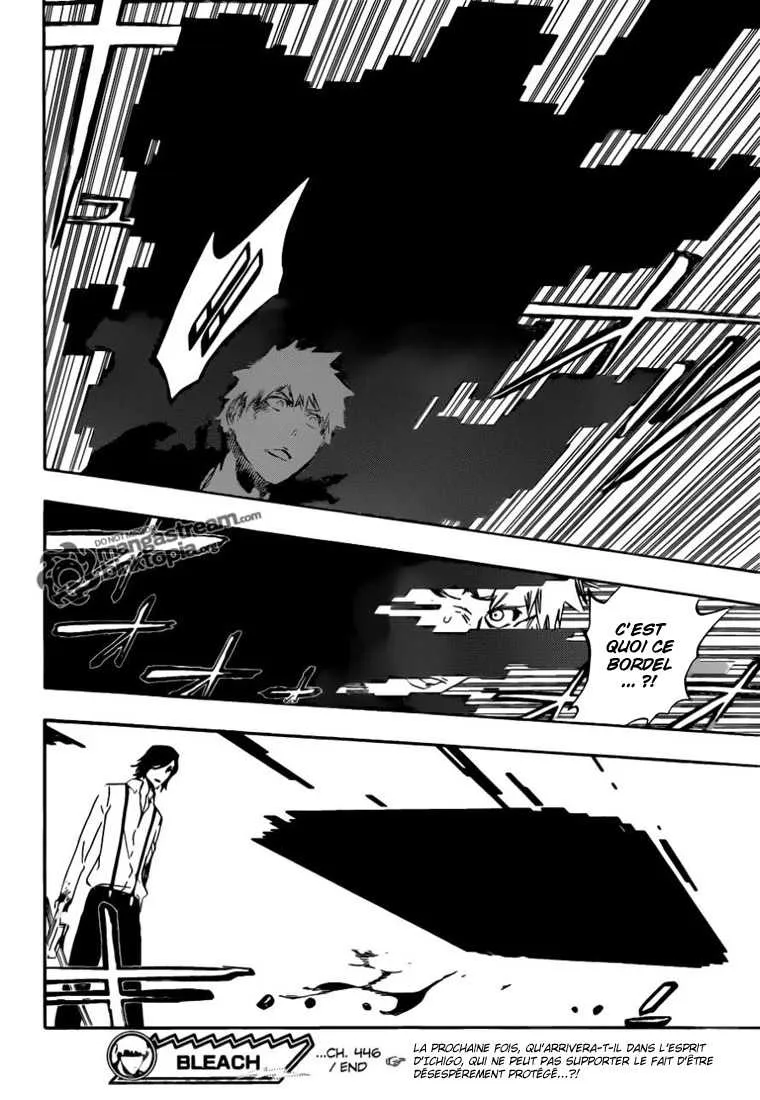 Bleach - 446 - 6551507f58073.webp