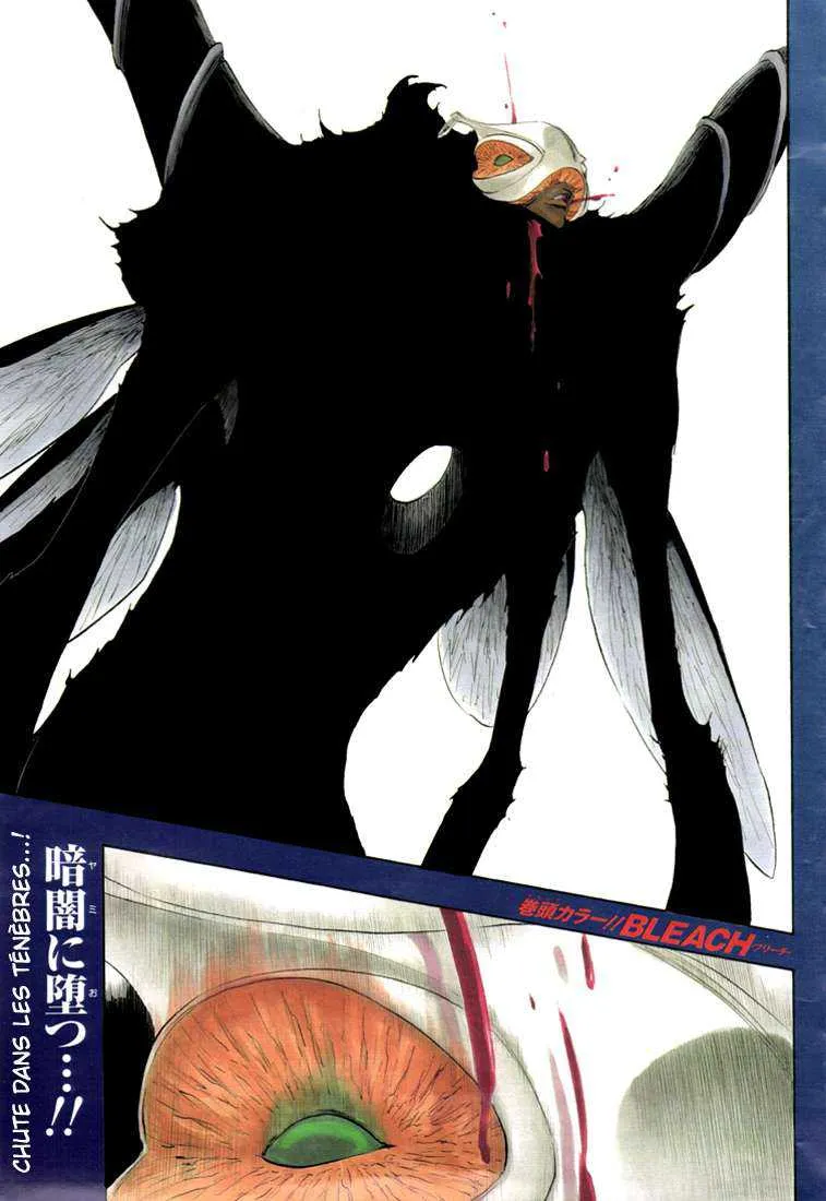 Bleach - 45 - 6551508acc699.webp