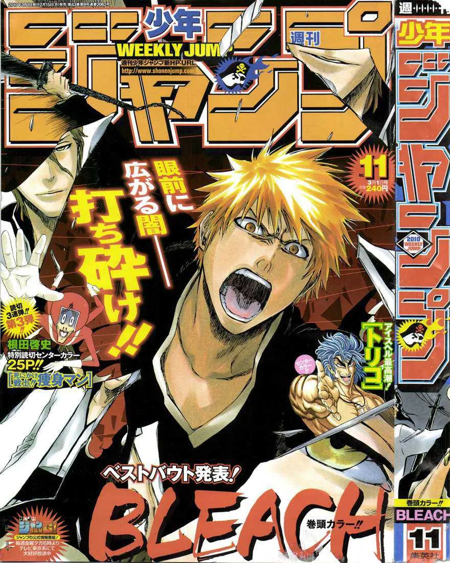 Bleach - 45 - 6551509af129d.webp