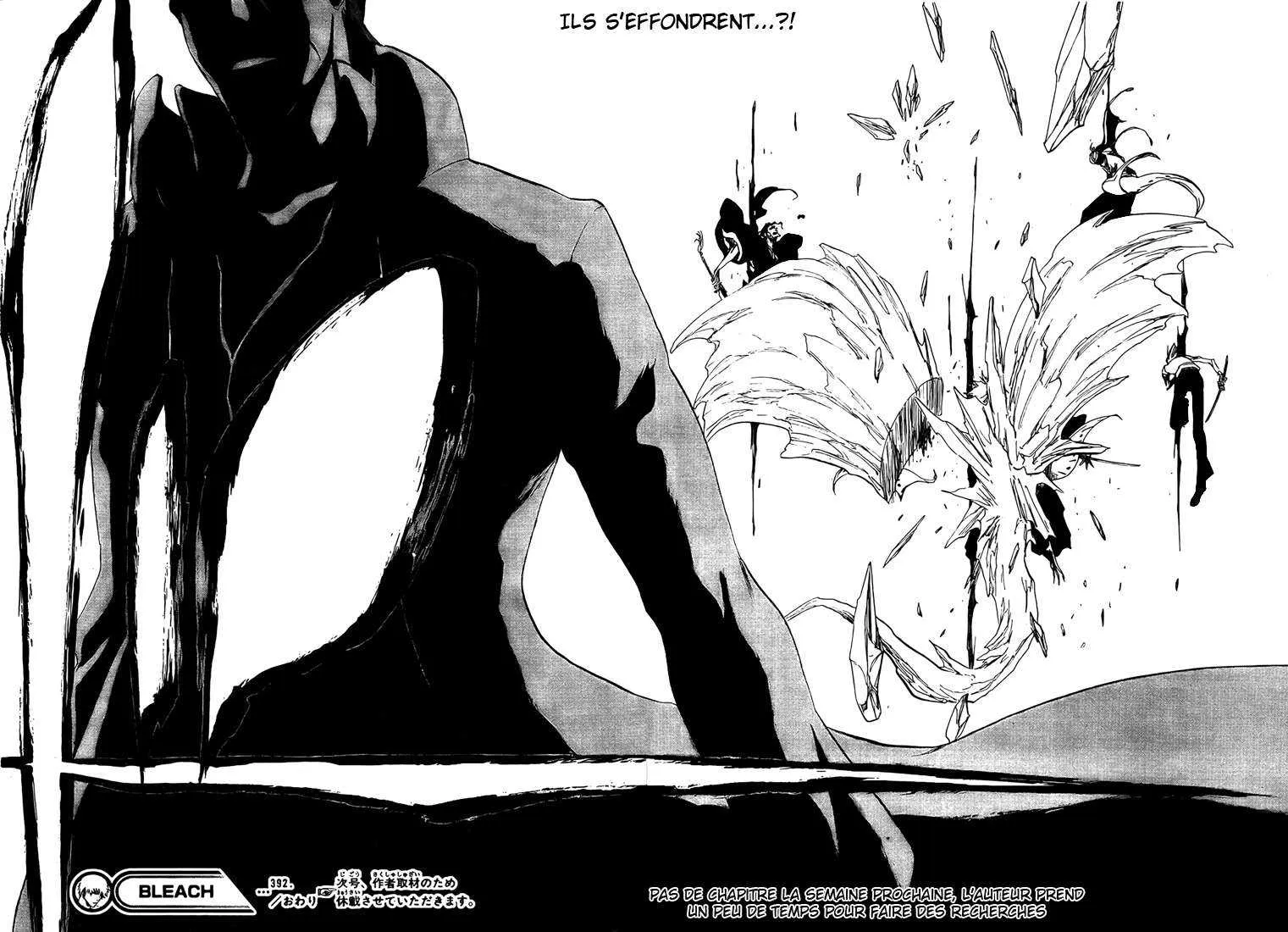 Bleach - 45 - 6551509e811d8.webp