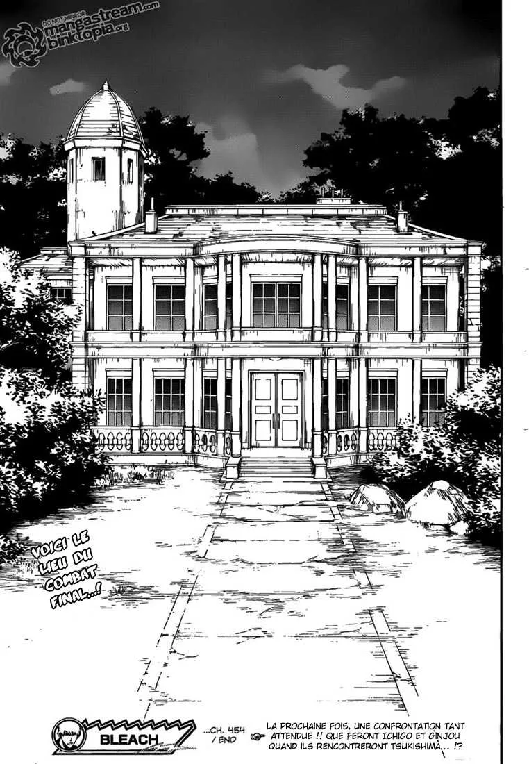 Bleach - 454 - 655150bbab0f3.webp