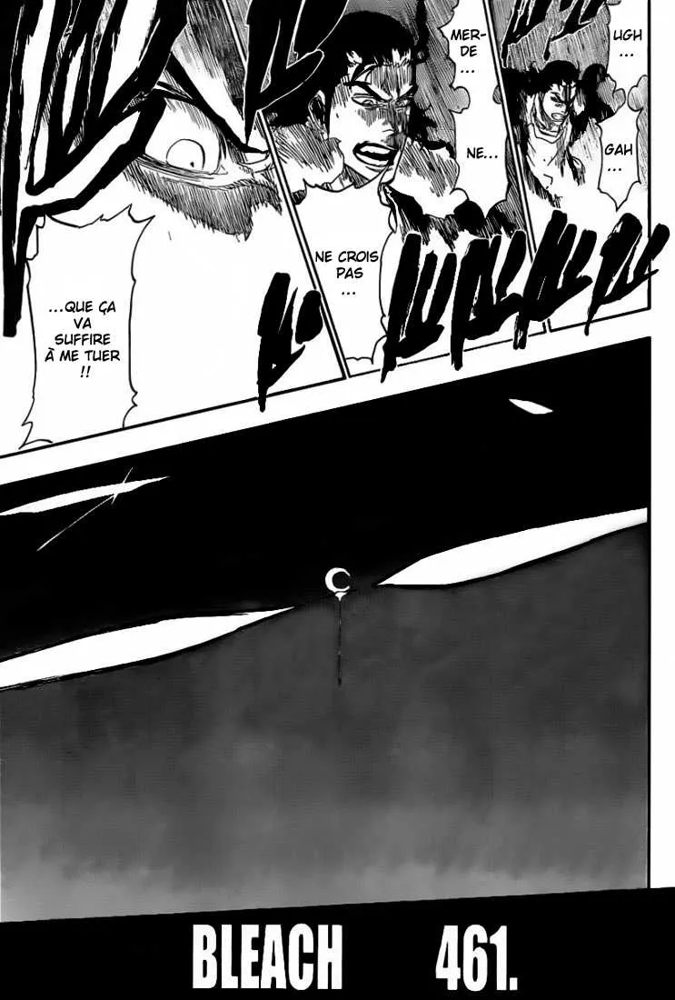 Bleach - 461 - 655150cfba5d5.webp