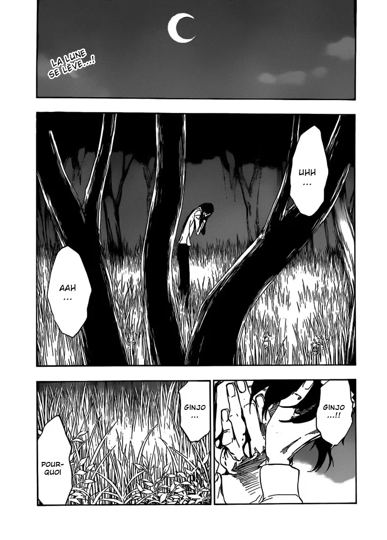 Bleach - 478 - 655151029f4cc.webp