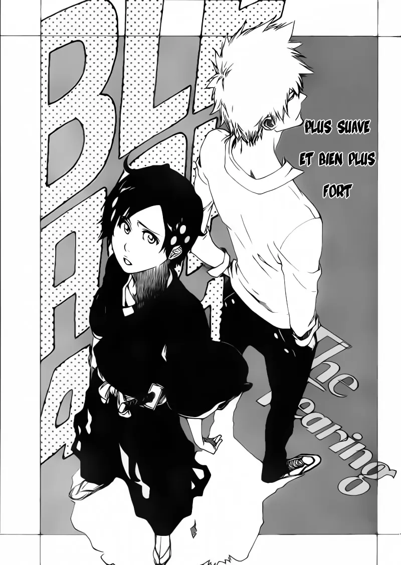 Bleach - 481 - 6551510d16bfa.webp
