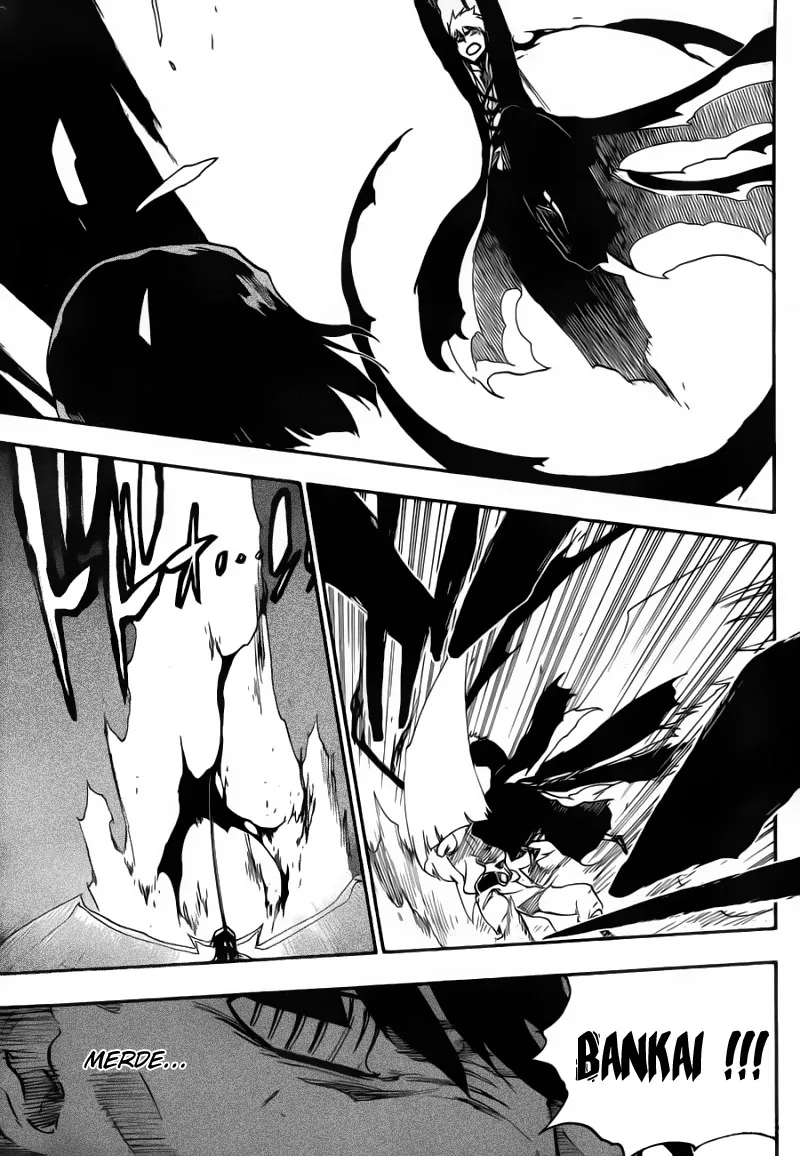 Bleach - 493 - 655151357b34e.webp