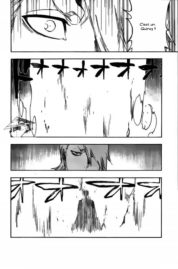 Bleach - 494 - 655151383360e.webp