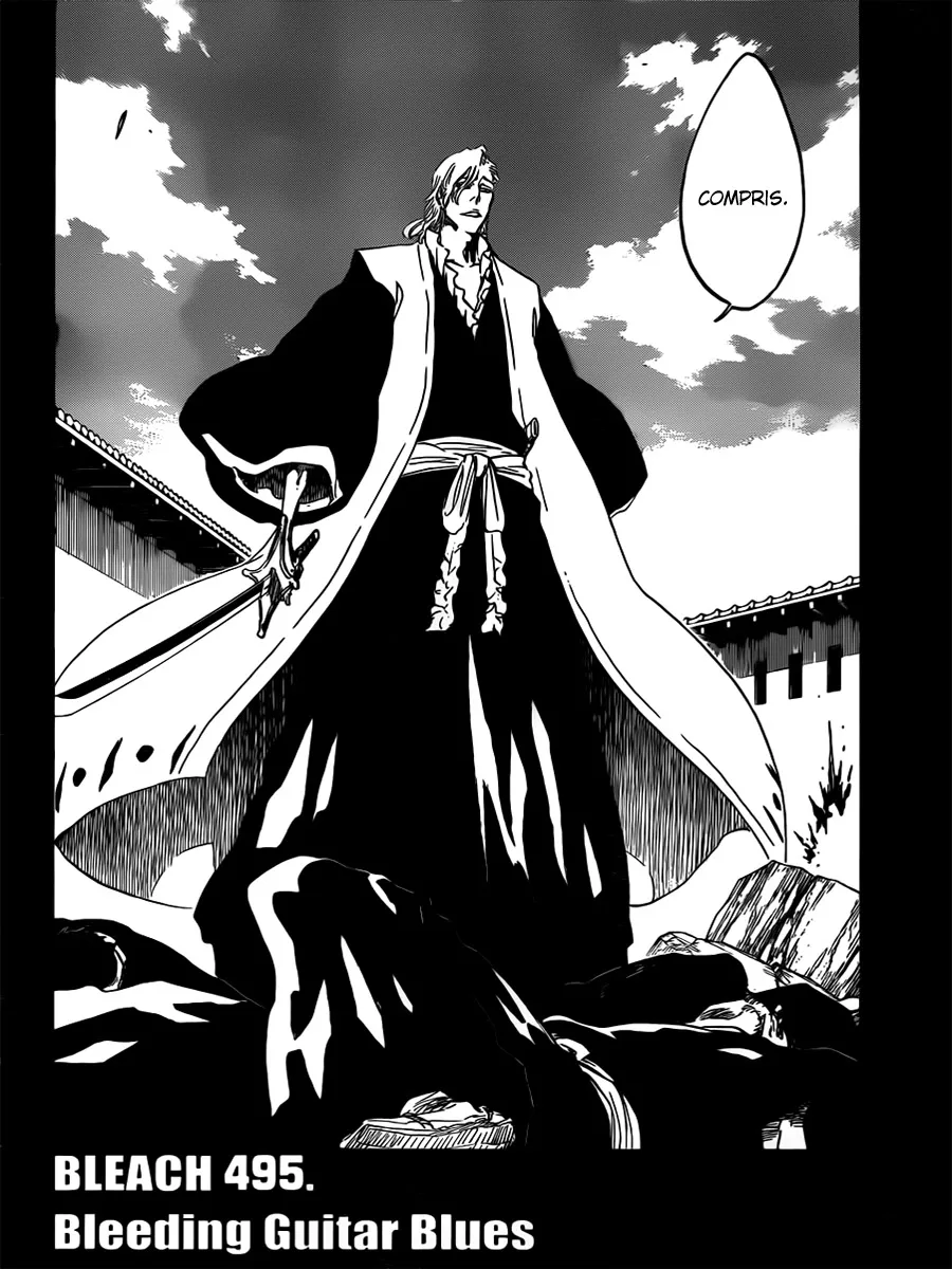 Bleach - 495 - 6551513a691b6.webp