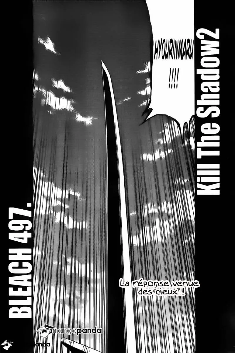 Bleach - 497 - 65515142609d1.webp