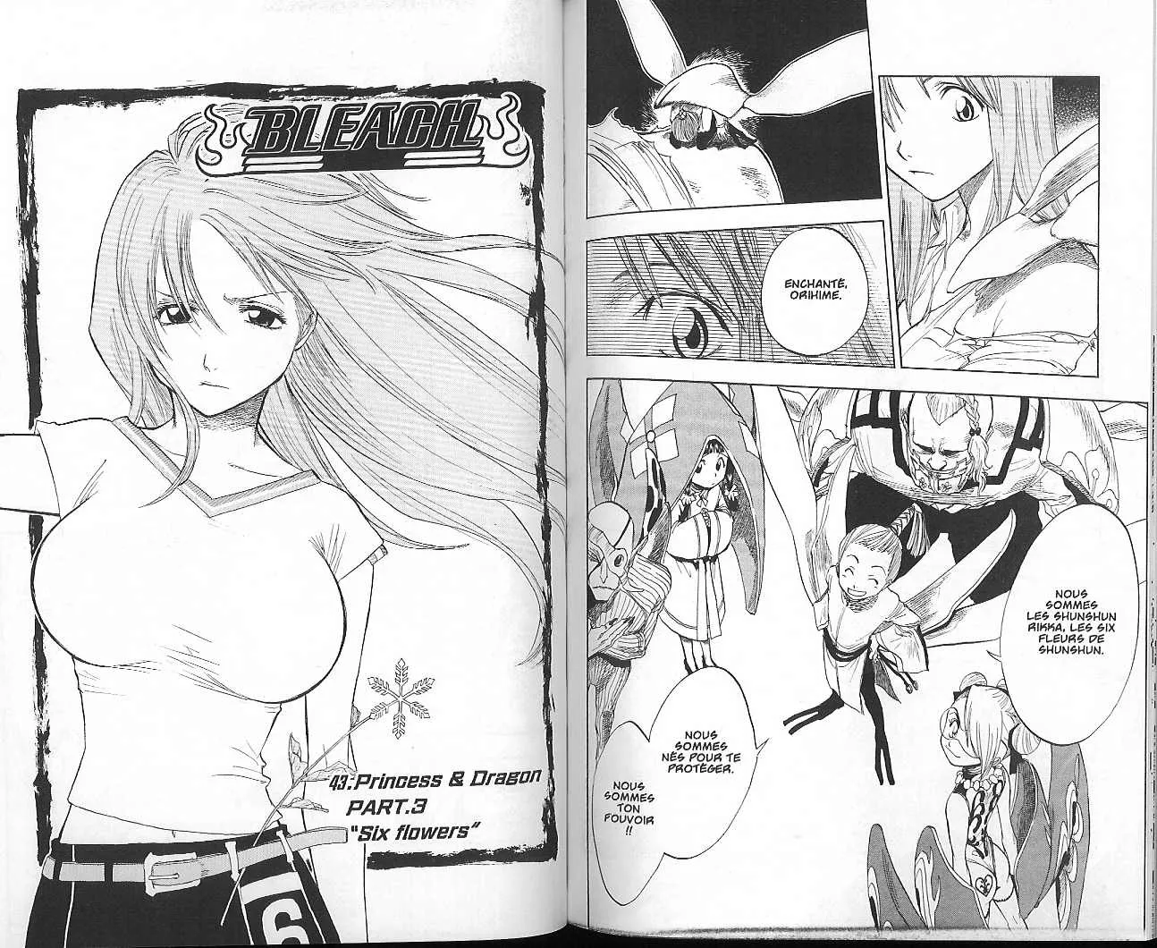 Bleach - 5 - 65515164bf03a.webp