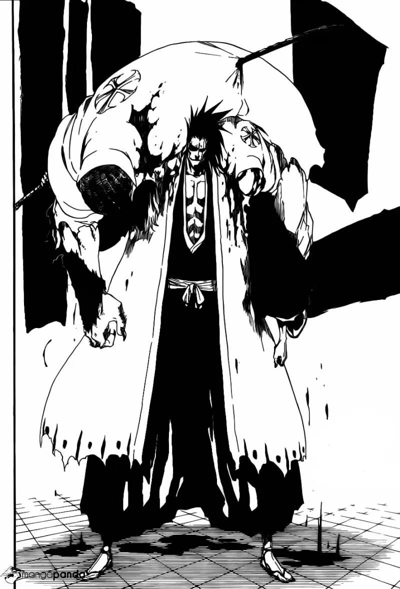 Bleach - 502 - 6551517232eb2.webp