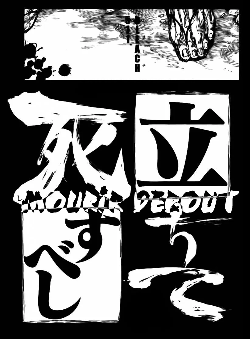 Bleach - 511 - 655151922e50d.webp