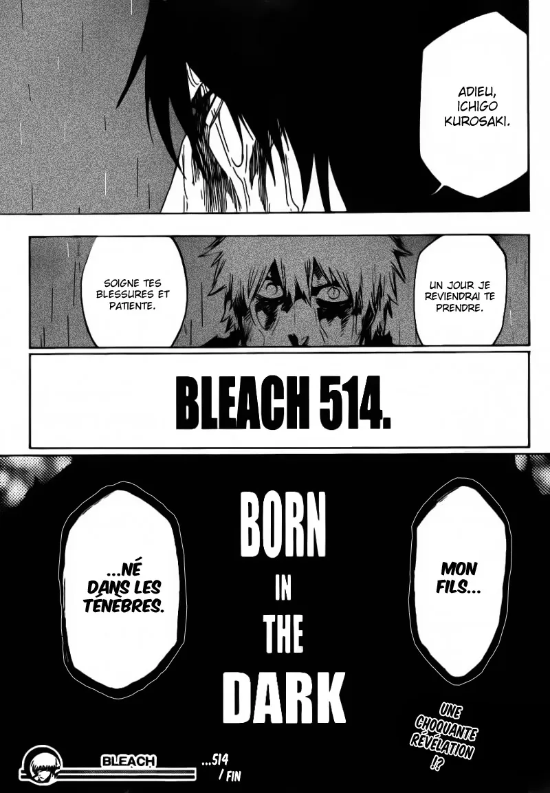 Bleach - 514 - 655151a0751e0.webp