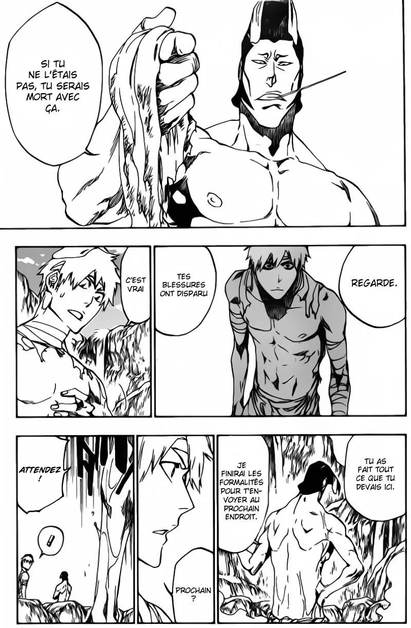 Bleach - 520 - 655151b7070fb.webp