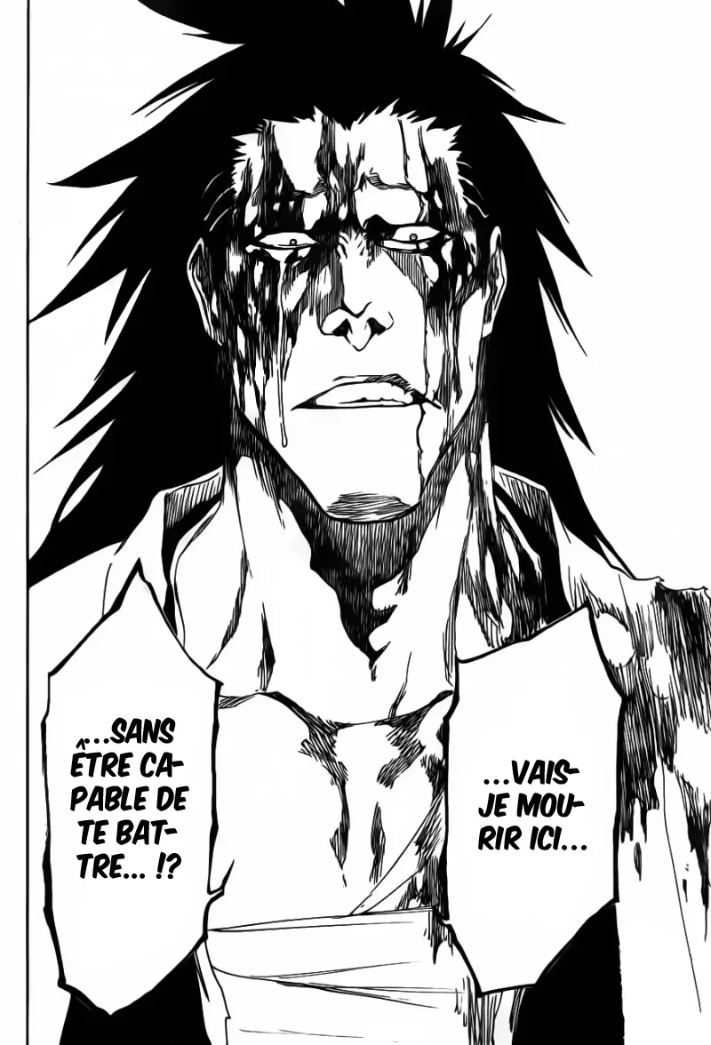 Bleach - 524 - 655151c8a9f81.webp