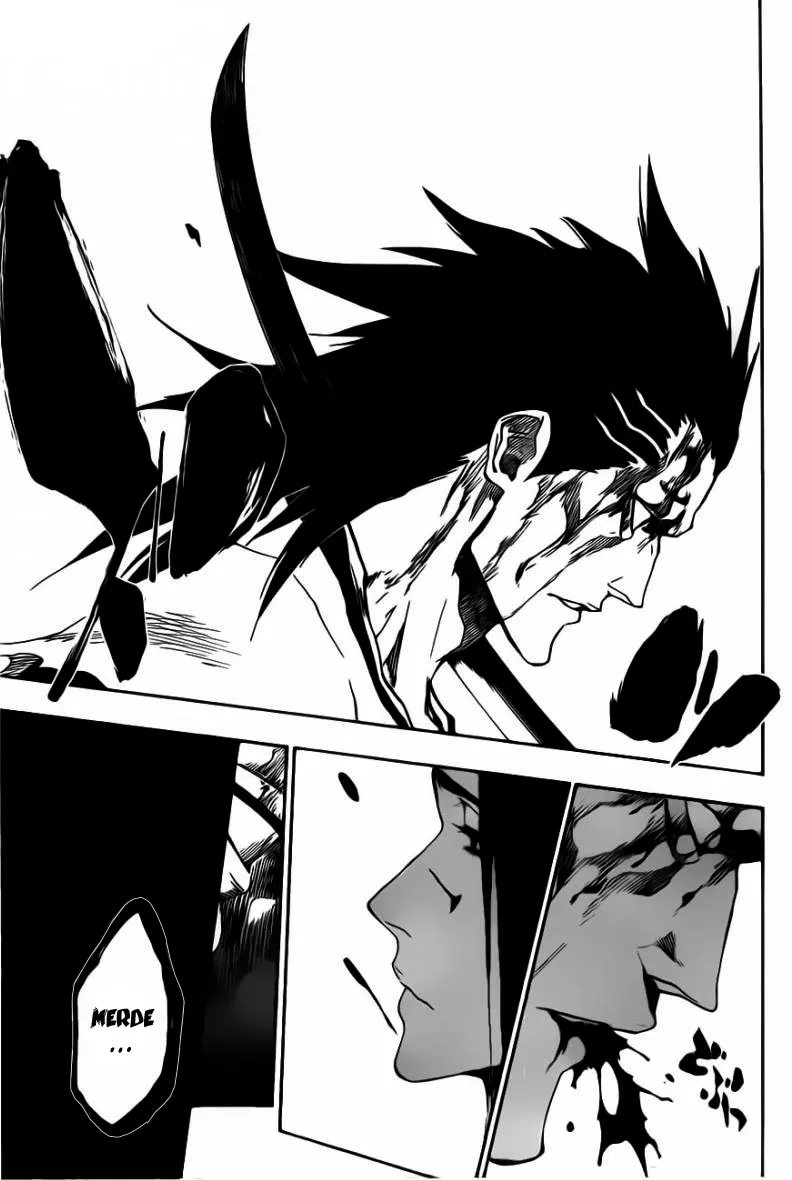 Bleach - 524 - 655151c8db631.webp