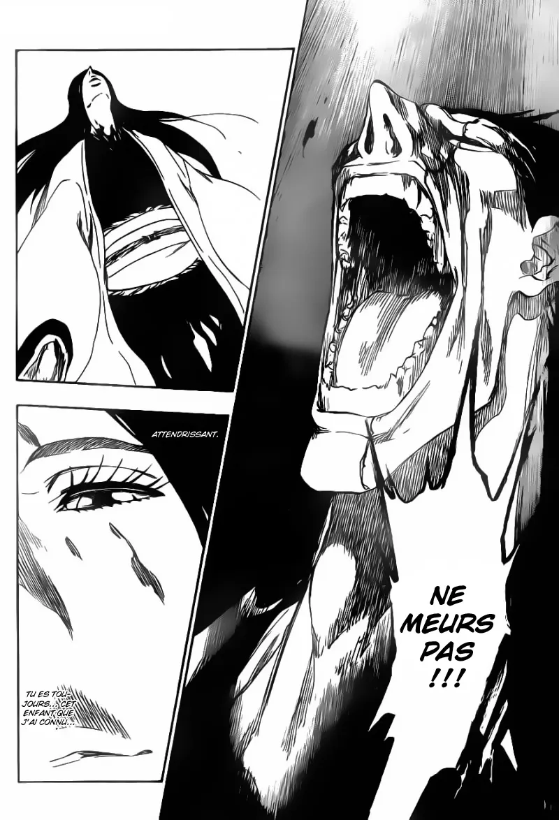 Bleach - 527 - 655151d20fd96.webp