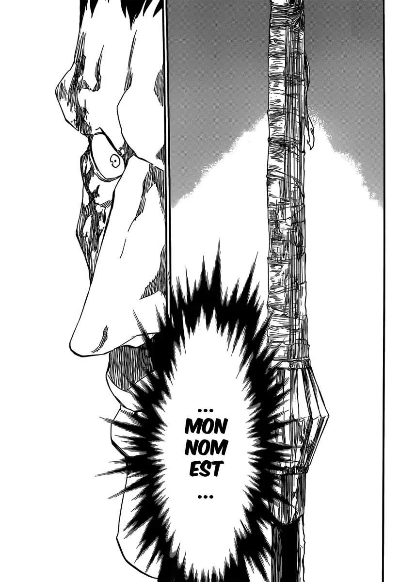 Bleach - 527 - 655151d319fb2.webp