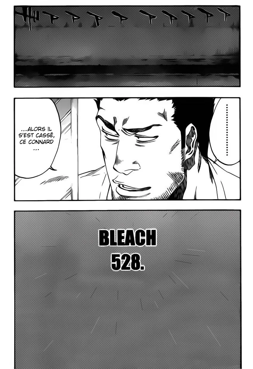 Bleach - 528 - 655151d5abf9c.webp
