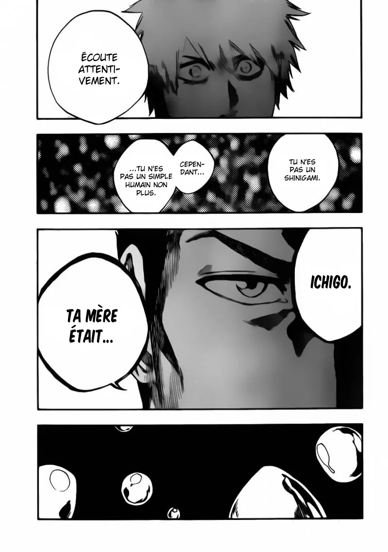 Bleach - 528 - 655151d82a054.webp