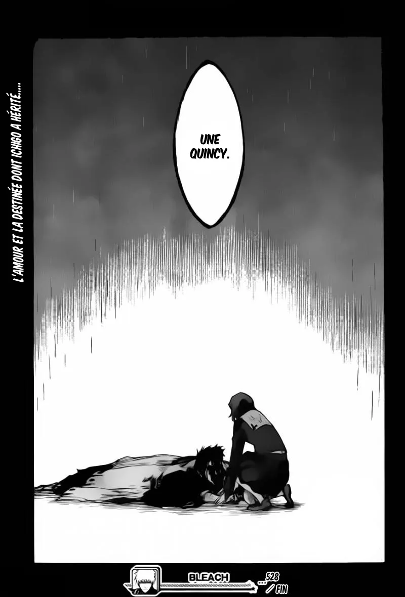 Bleach - 528 - 655151d87da00.webp