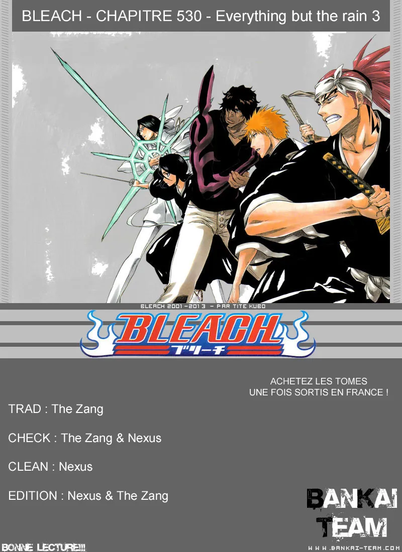Bleach - 530 - 655151dce0e5f.webp