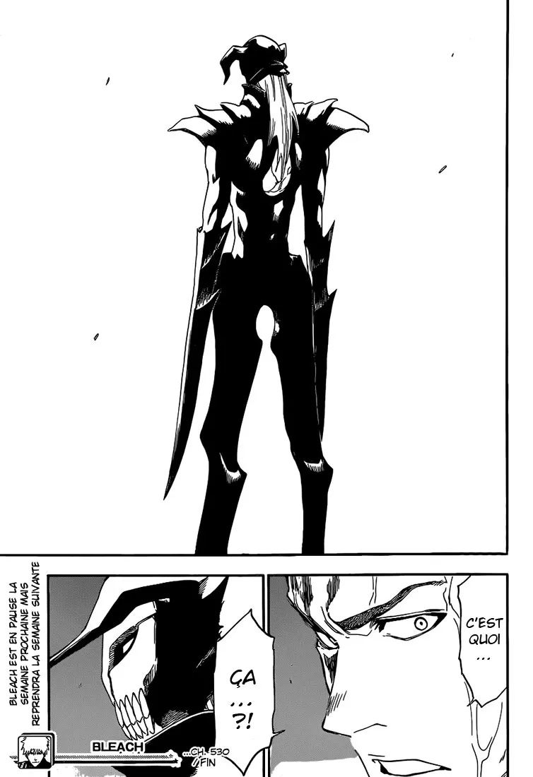 Bleach - 530 - 655151dfb5328.webp