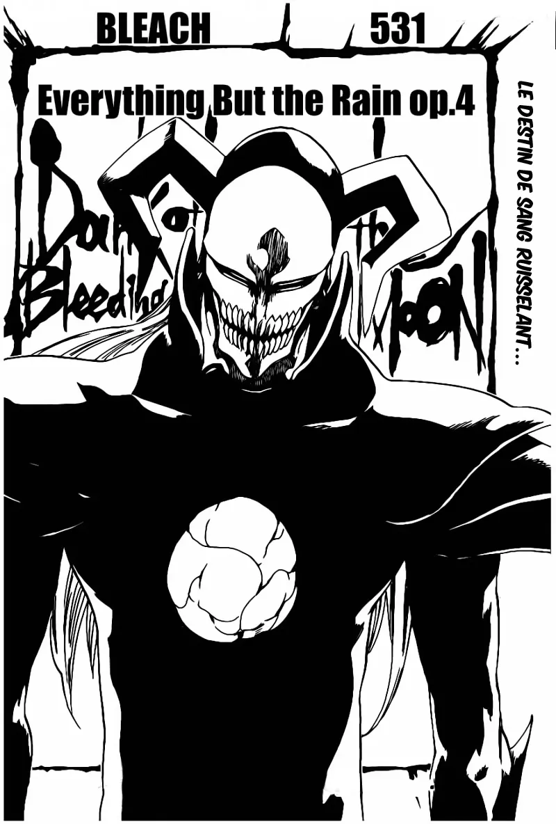 Bleach - 531 - 655151e1881c7.webp