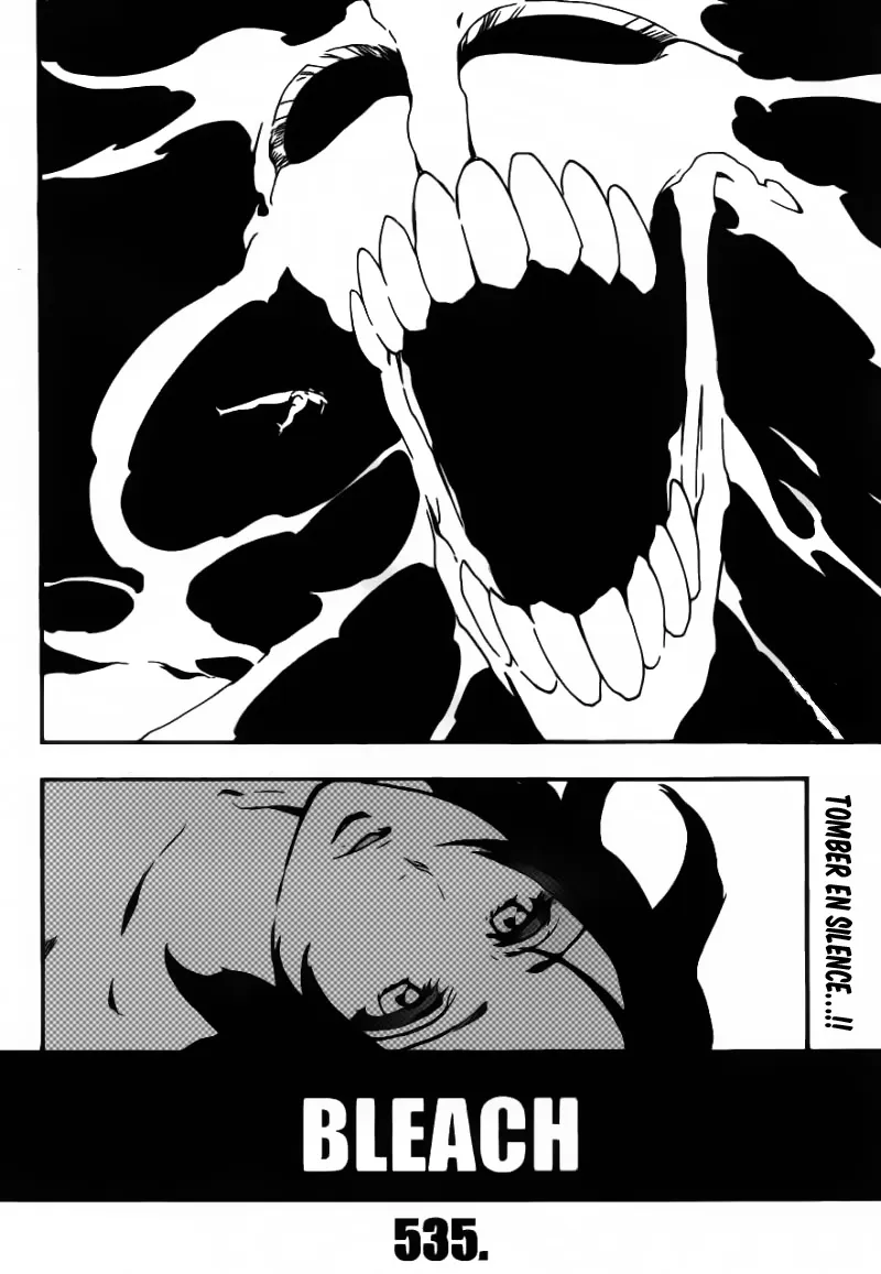 Bleach - 535 - 655151f113080.webp