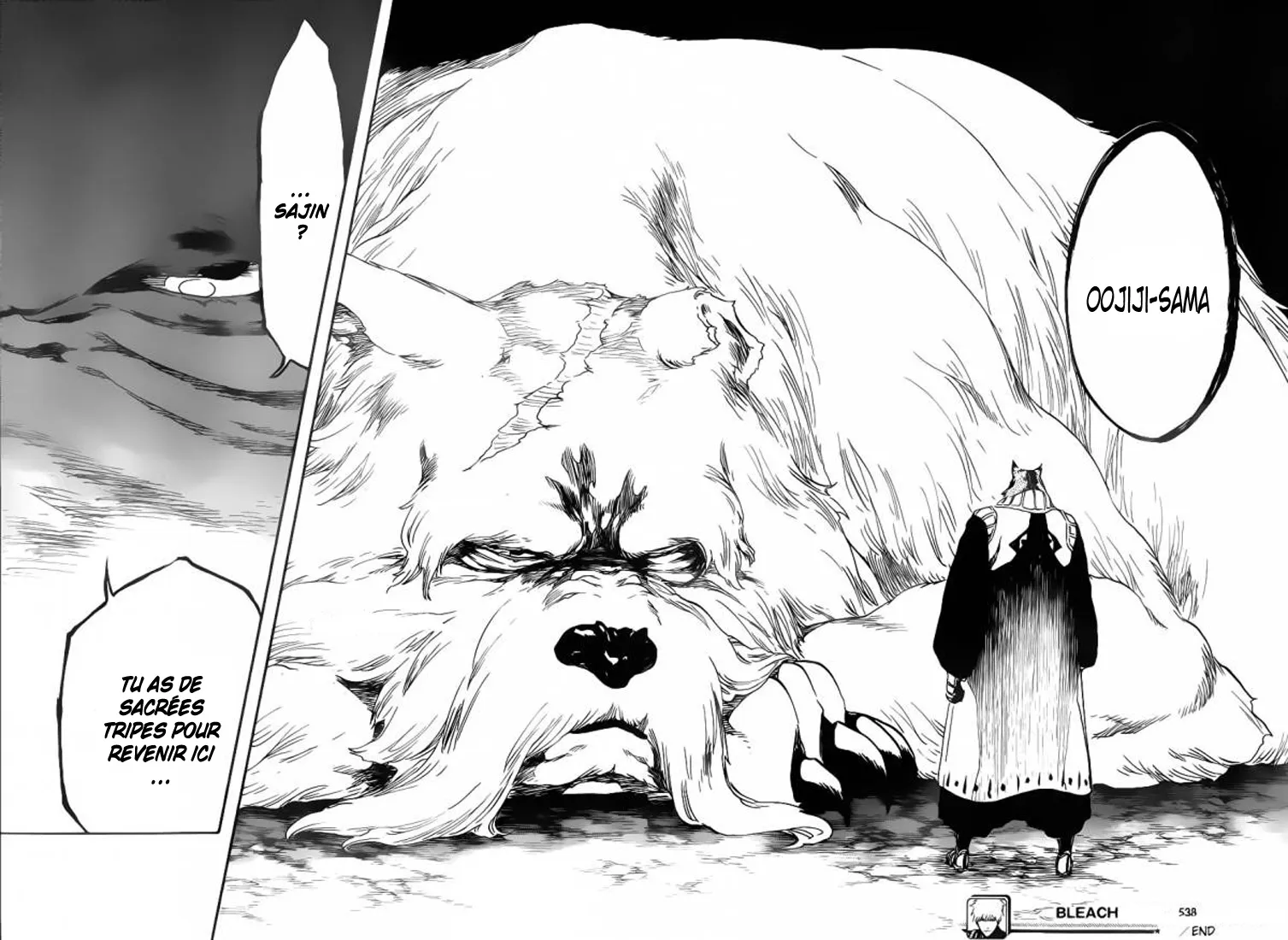 Bleach - 538 - 655151fe8e5a4.webp