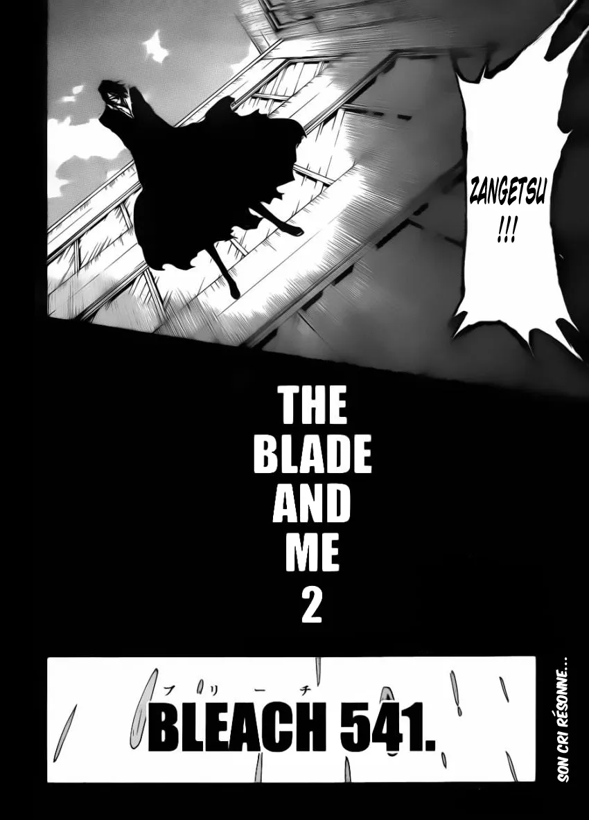 Bleach - 541 - 655152076d417.webp