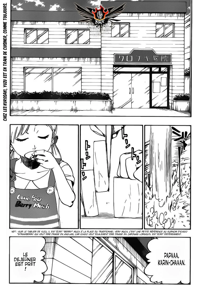 Bleach - 545 - 65515214d497a.webp