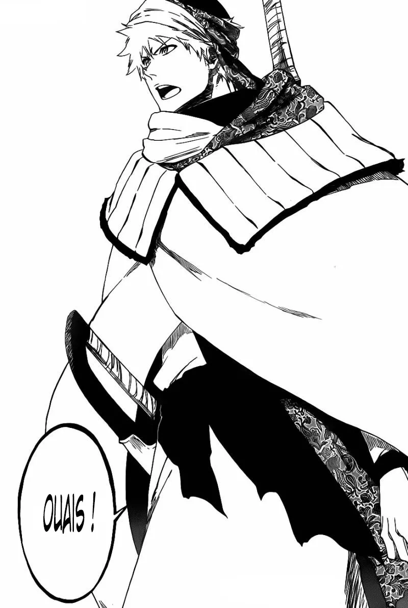 Bleach - 555 - 6551523d35b0e.webp