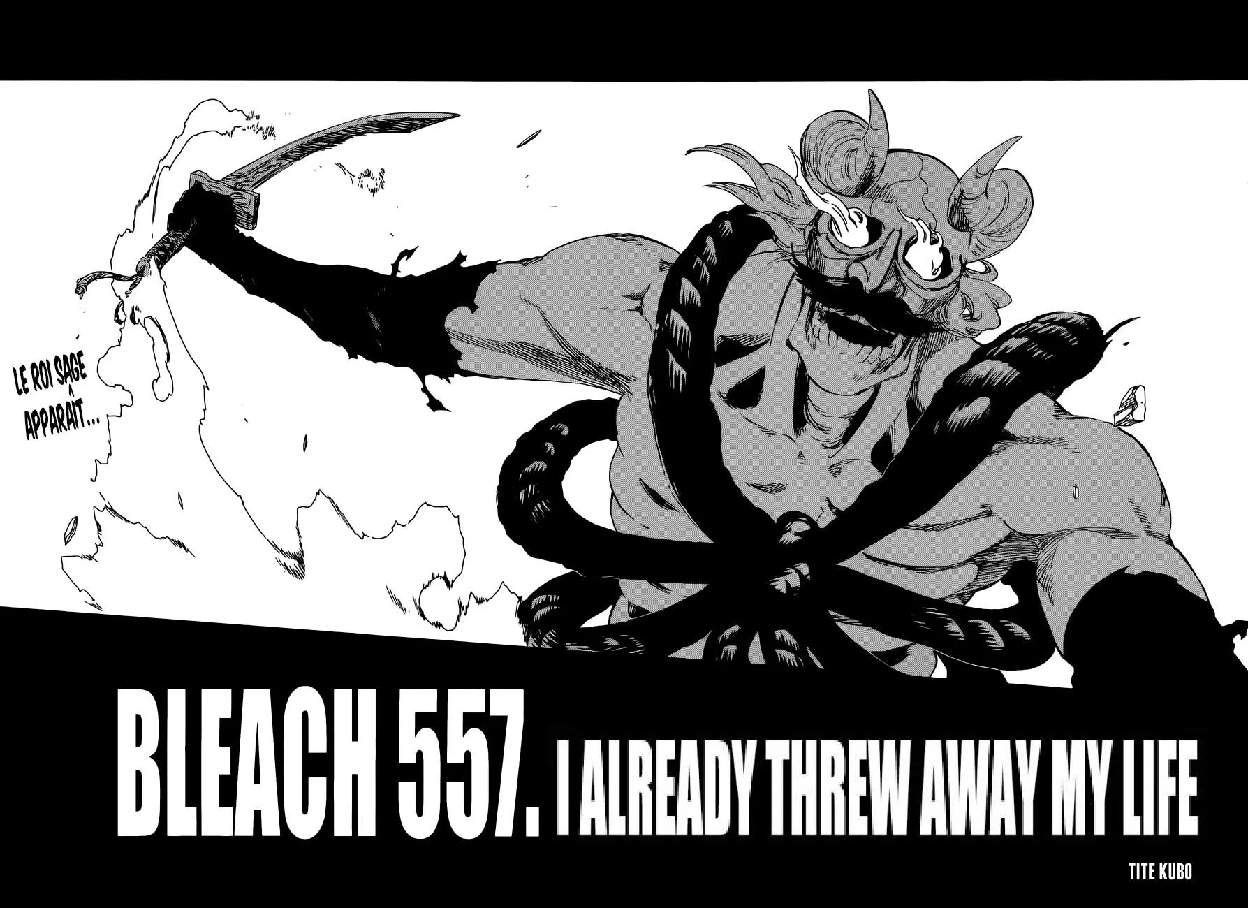 Bleach - 557 - 655152451ab1d.webp
