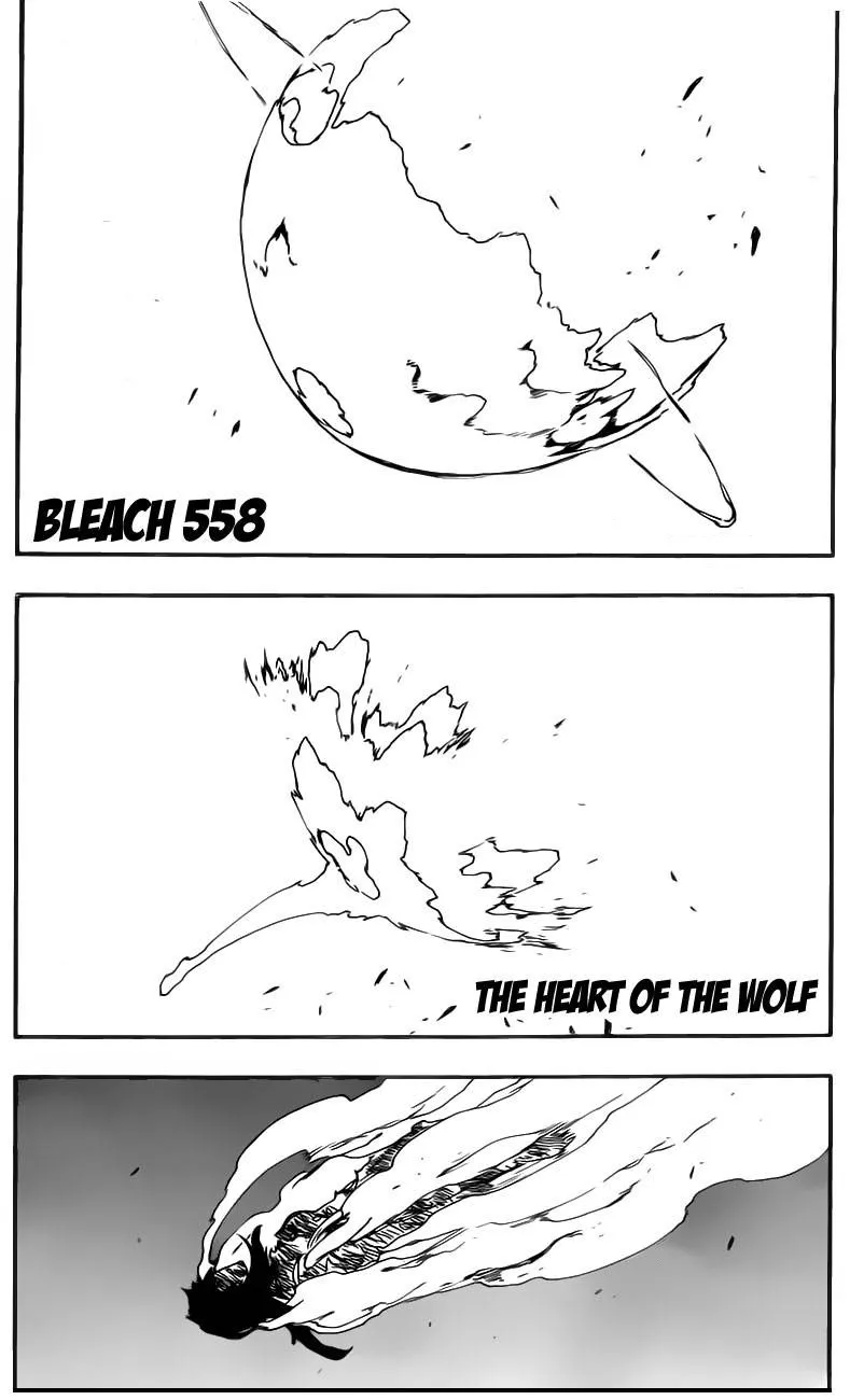Bleach - 558 - 6551524928551.webp