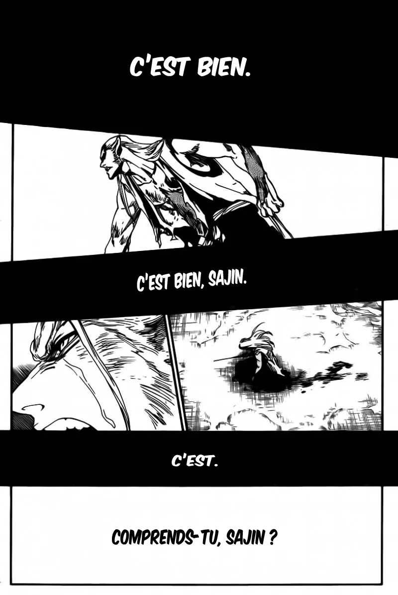 Bleach - 558 - 65515249e30ad.webp