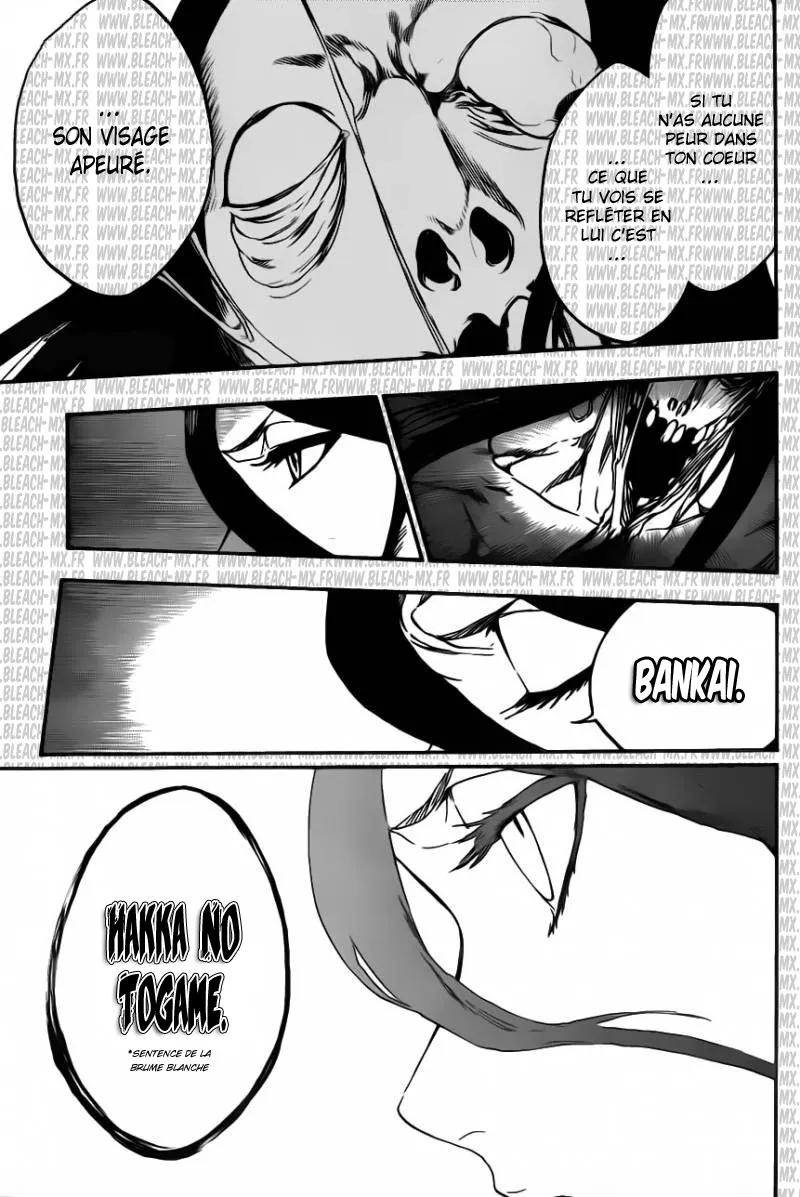 Bleach - 569 - 6551527cdfdef.webp