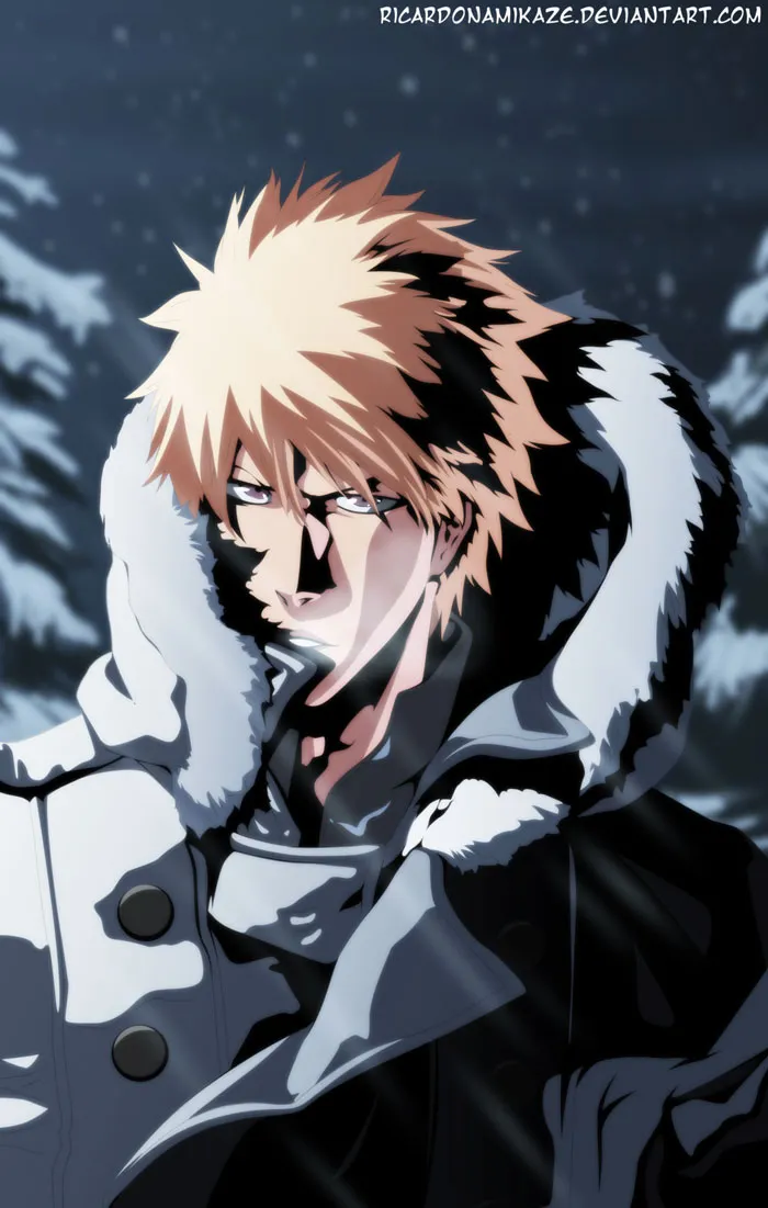 Bleach - 571 - 65515286d47c5.webp