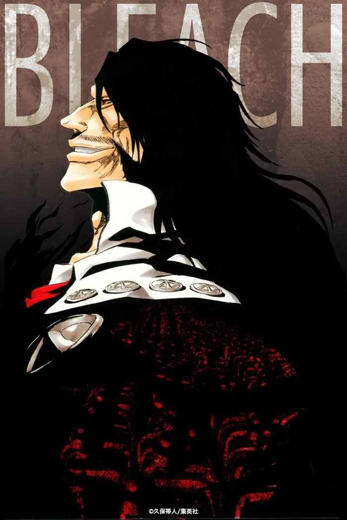 Bleach - 578 - 655152a803dc9.webp