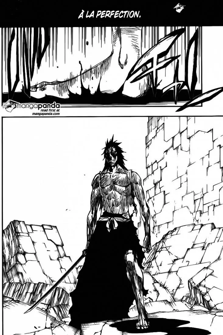 Bleach - 579 - 655152a85ba2f.webp